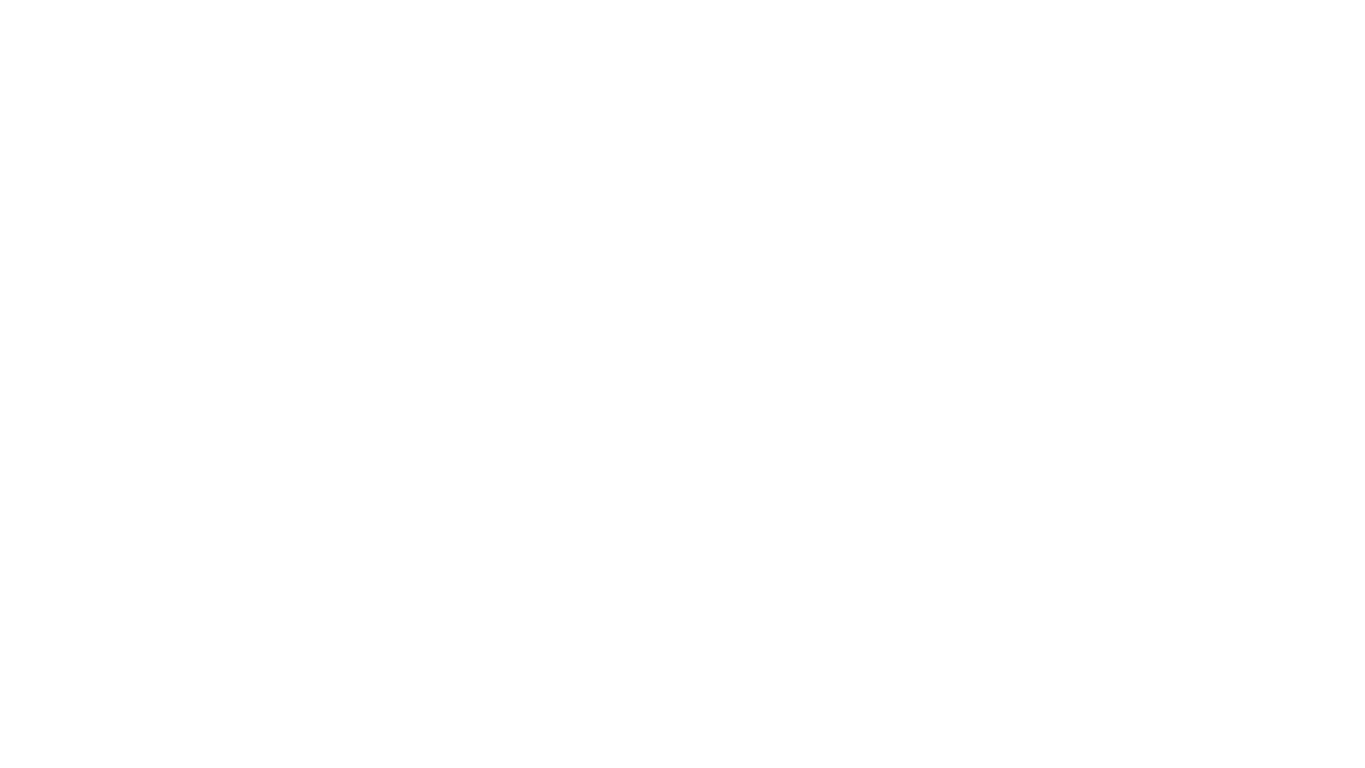 Stegra_2